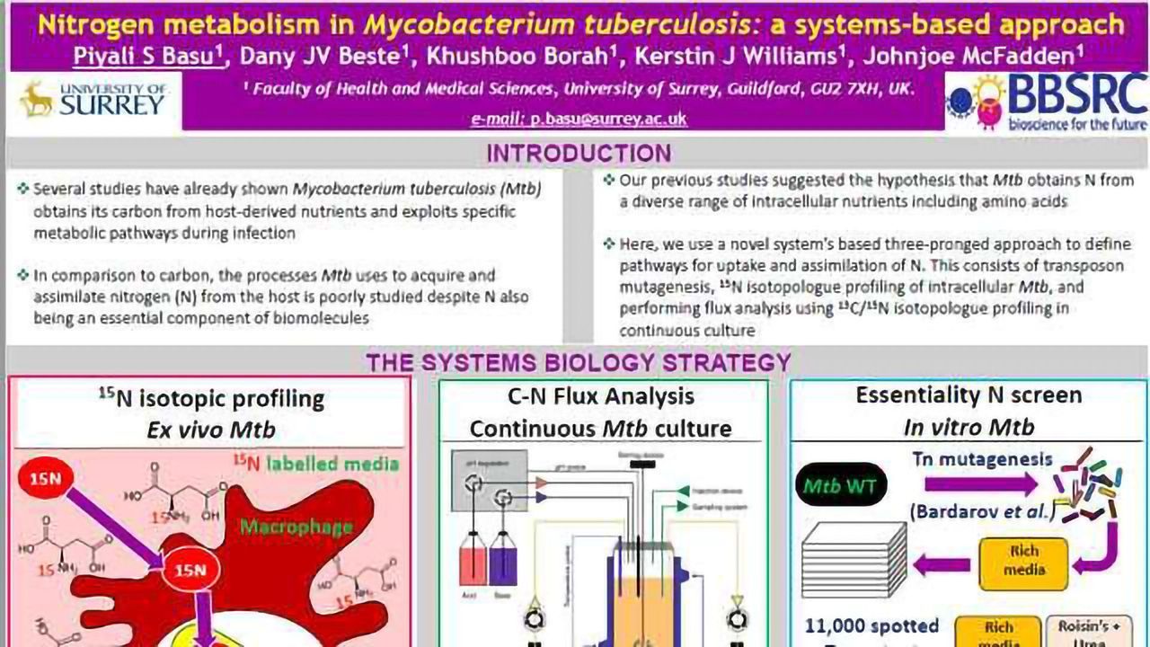 Nitrogen metabolism in Mycobacterium tuberculosis: a systems-based approach