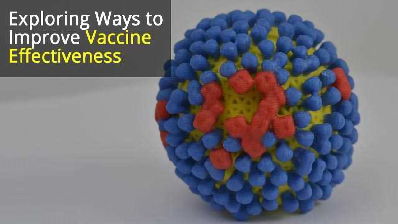 Clues for Improved Influenza Vaccine Design