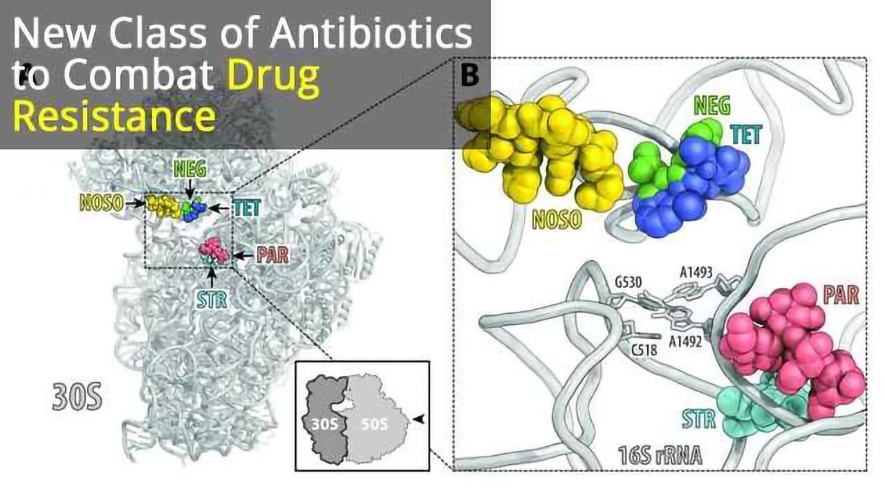 New Class of Antibiotics