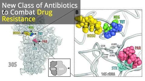 New Class of Antibiotics