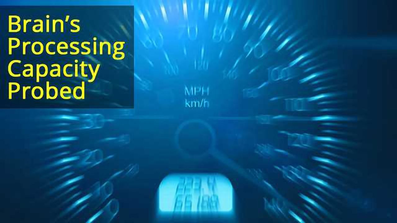 Heavy Working Memory Load Sinks Brainwave ‘Synch’