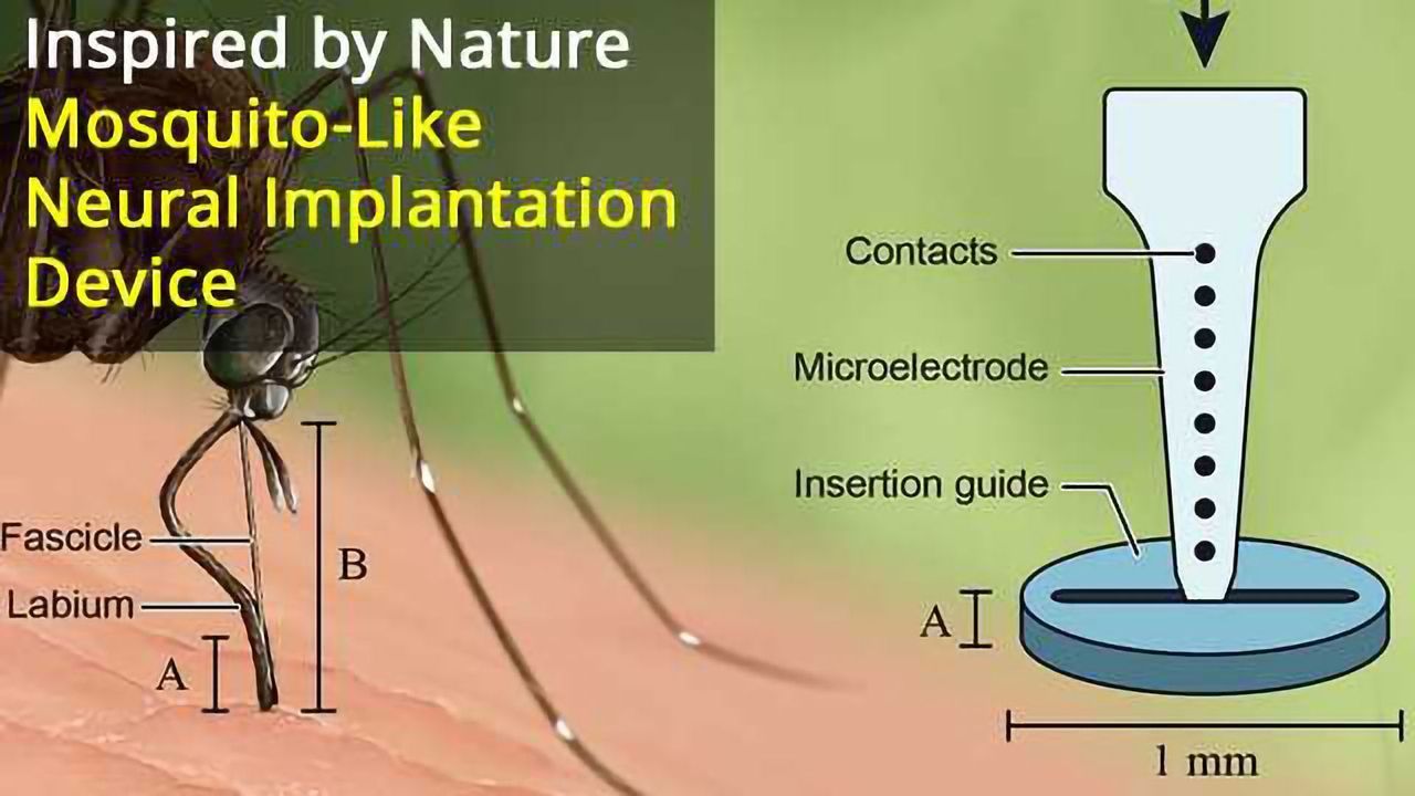 Mosquito-Inspired Neural Implant Solution