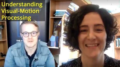 NNR Meets First Author Dr Sepiedeh Keshavarzi to Discuss Visual Motion Integration in the Brain
