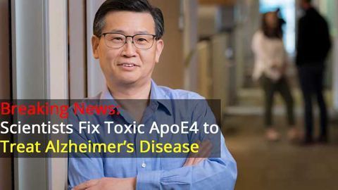 Small-Molecule Structure Corrector Fixes Genetic Risk Factor for Alzheimer’s Disease