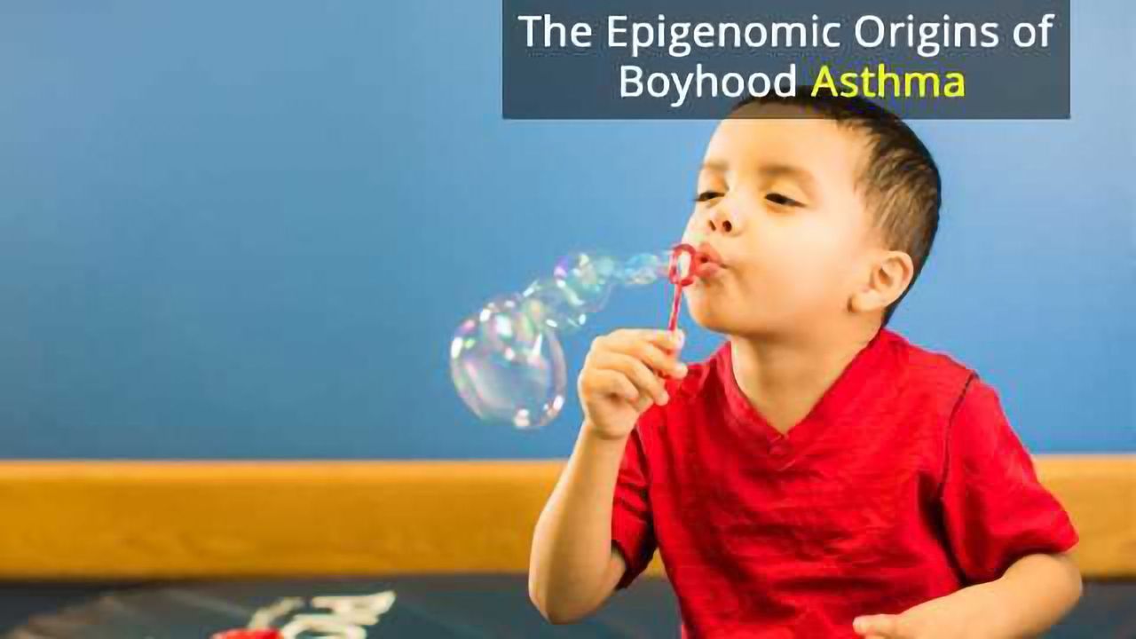 DNA Suggests Why Boys are More Likely to Have Asthma