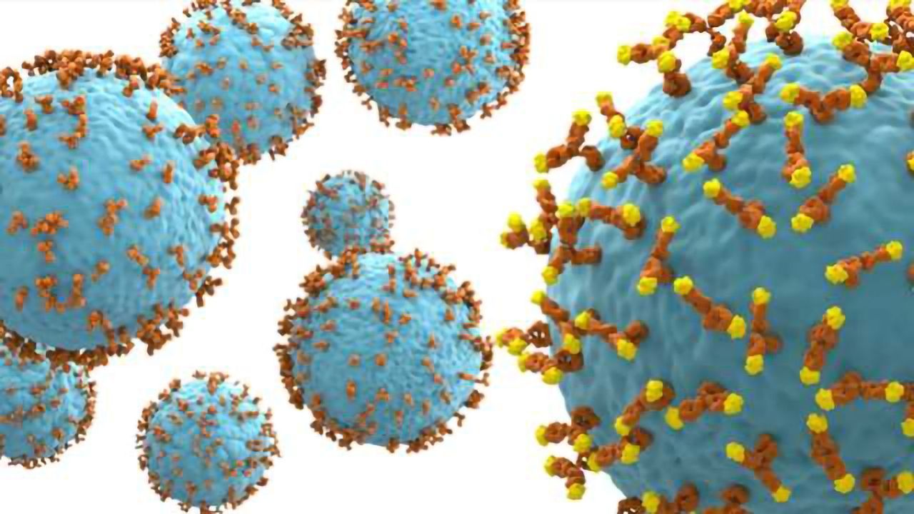 IONTAS and IGEM Therapeutics Collaborate to Identify Novel IgE Antibodies