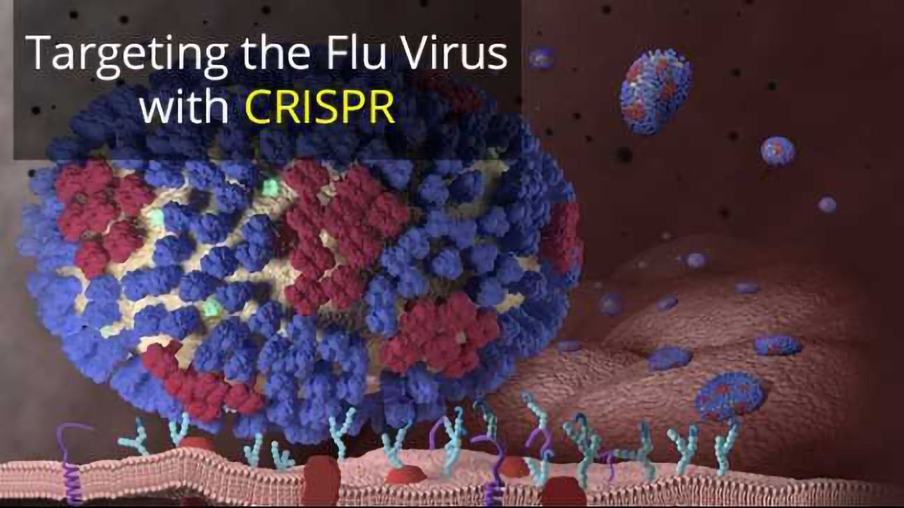 Gene Edit Library Identifies Targets for Flu Therapy
