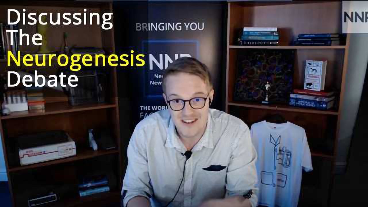 Discussing the Neurogenesis Debate