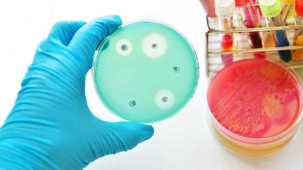 New Tools for Combating Antibiotic Resistance