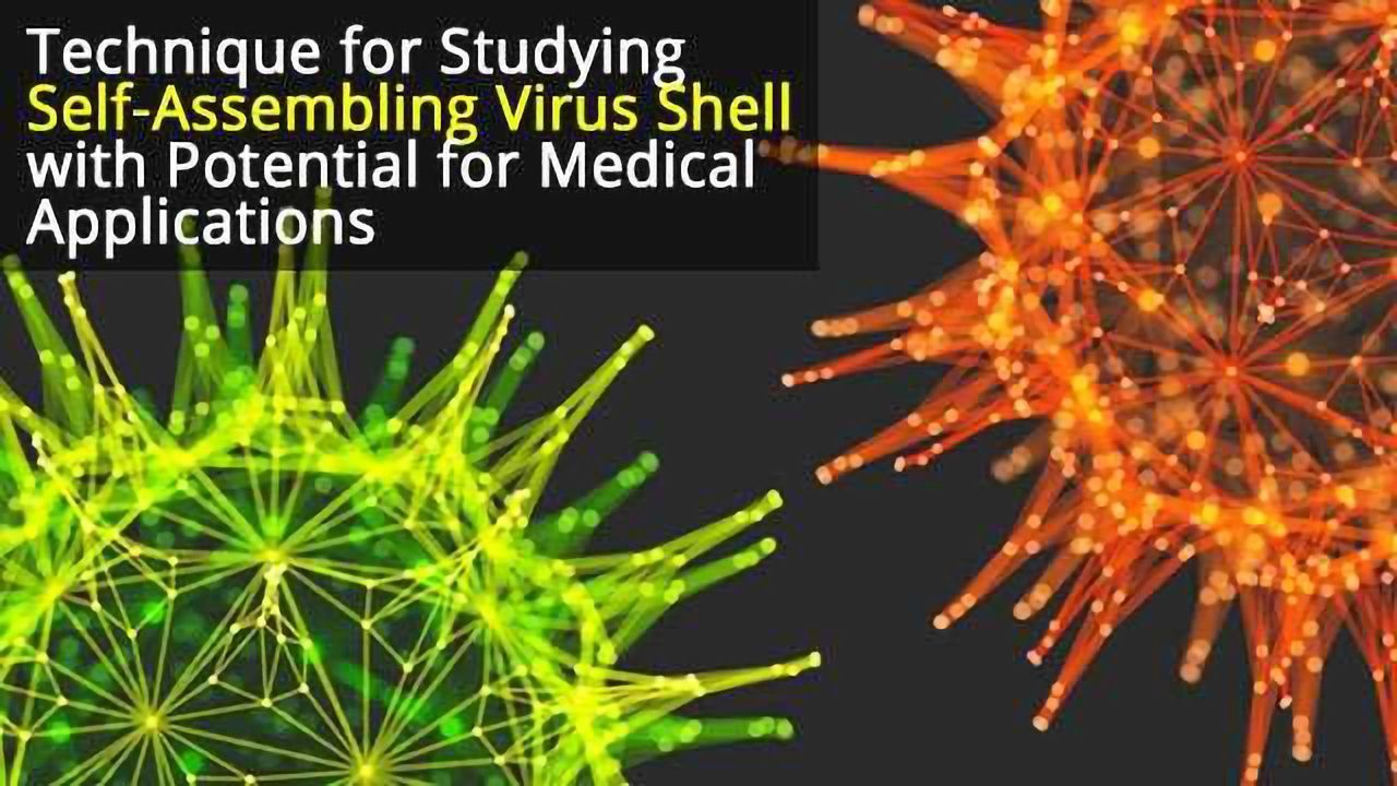 Method Aids Study of Targeted Drug Delivery Scaffold