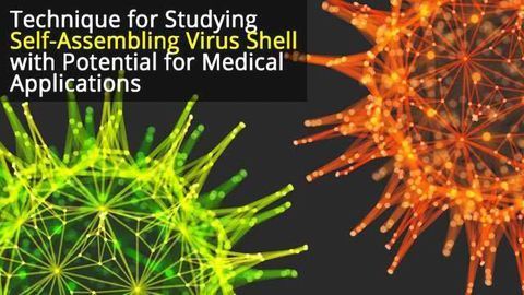 Method Aids Study of Targeted Drug Delivery Scaffold