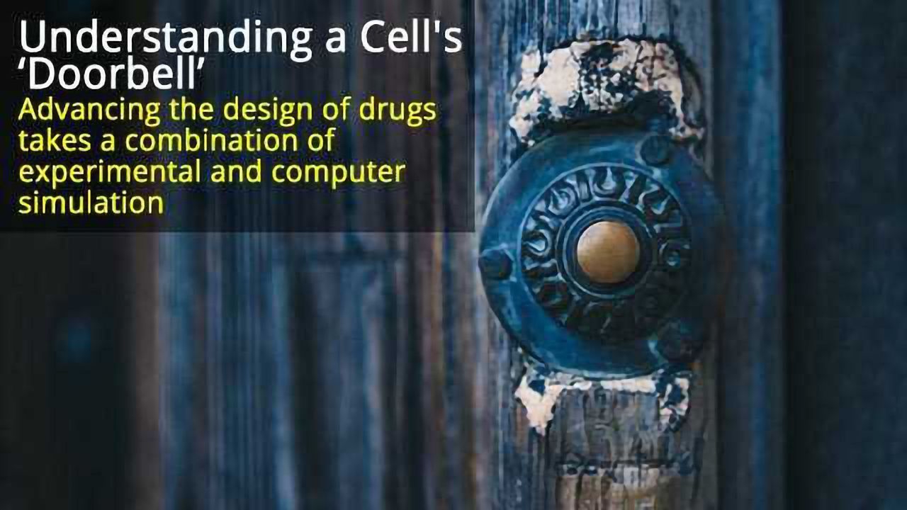 Understanding a Cell's 'Doorbell': Drug Design Advances are the Research Goal