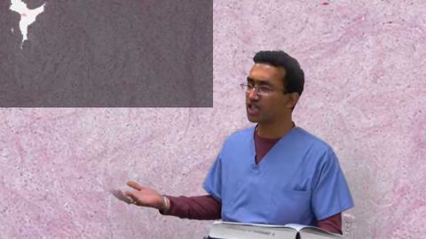 Despacito Pathology Parody