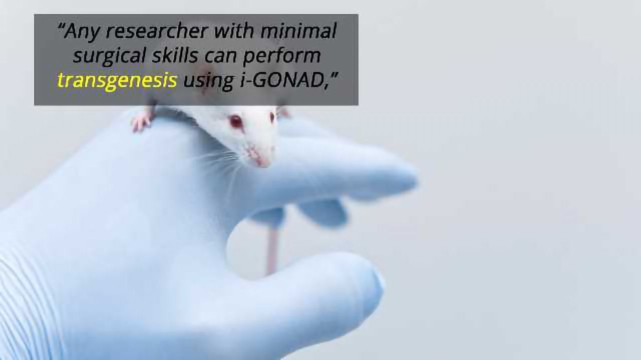 CRISPR Technology Could Revolutionize Animal Transgenics