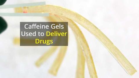 Anti-Malaria Drugs Delivered With Caffeine