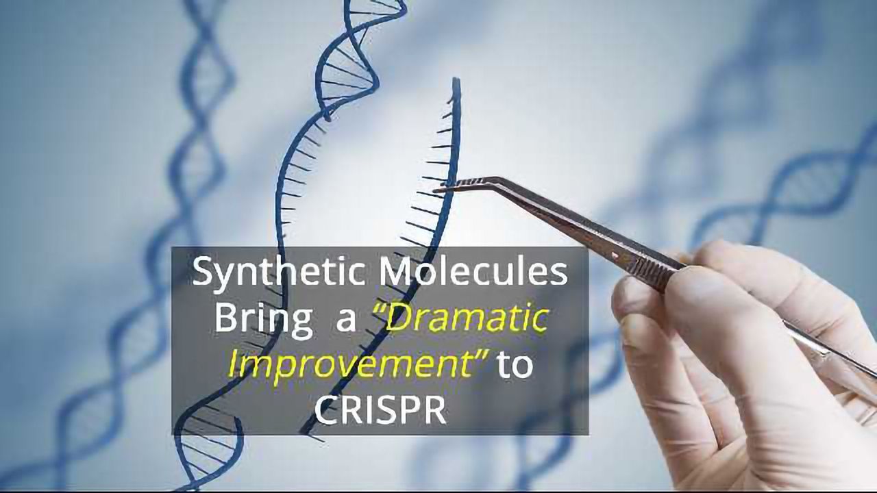 Synthetic Molecules Could Improve CRISPR