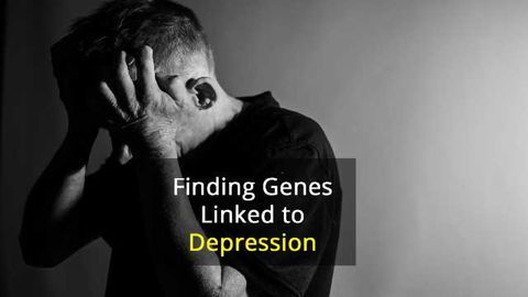 78 Genes Linked to Depression Identified