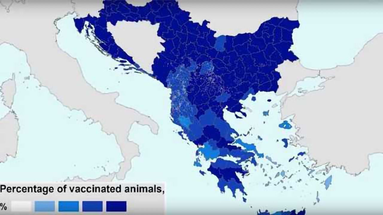 Lumpy Skin Disease Vaccination Programme in Europe
