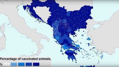 Lumpy Skin Disease Vaccination Programme in Europe