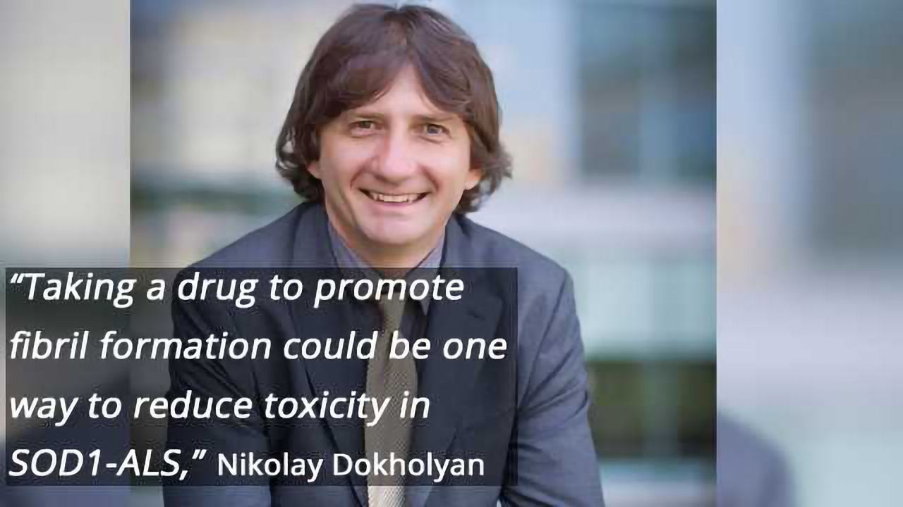 Large Accumulation of ALS Protein Fibrils Not Toxic