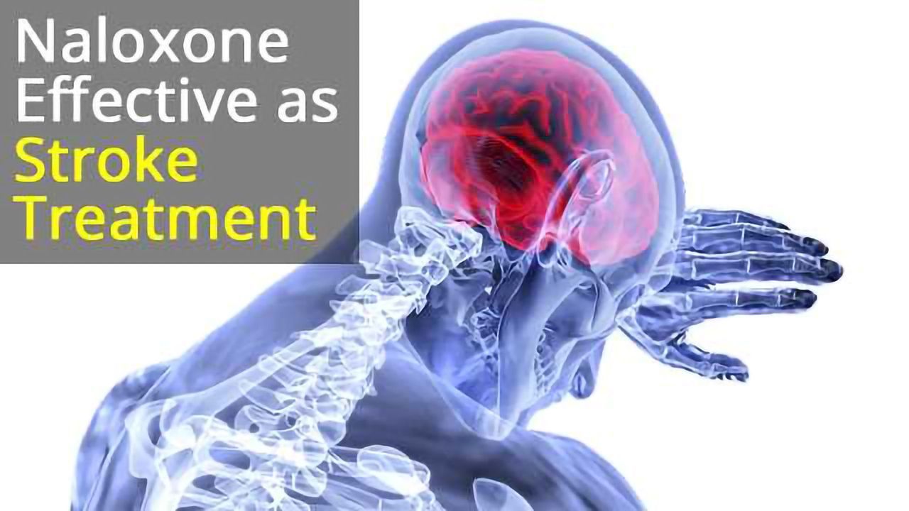 Post-Stroke Intranasal (+)-Naloxone Improves Stroke Outcome
