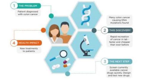 A New, Streamlined Approach to Diagnosing and Treating Bowel Cancer