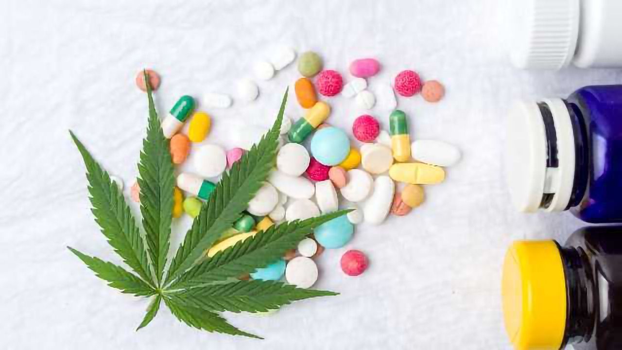 Cannabis Therapeutics: The Highs and Lows of Developing Cannabinoid Therapies