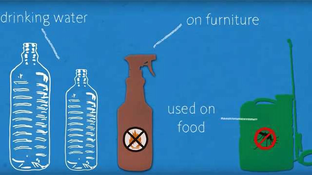 How Do Our Bodies Fight Off Dangerous Chemicals?