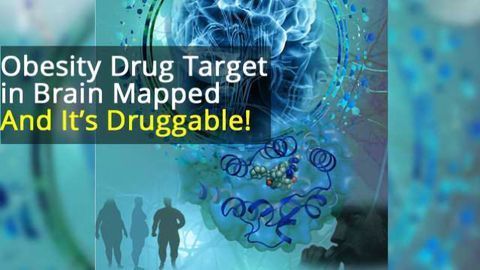 Neuropeptide Y Y1 Receptor Structure Solved, Offers New Opportunities for Anti-obesity Drug Discovery