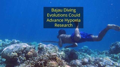 Southeast Asian Nomads Have Evolved to Hunt Fish Underwater