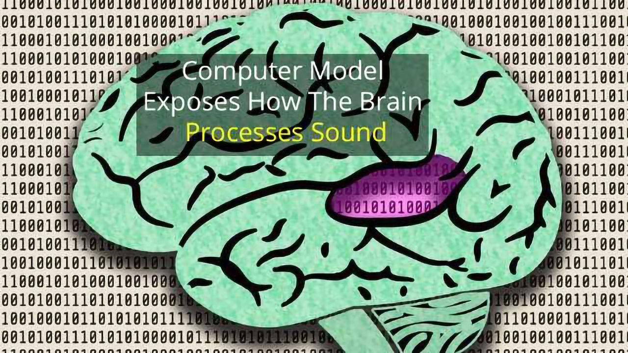 Neural Computer Hears Like Humans
