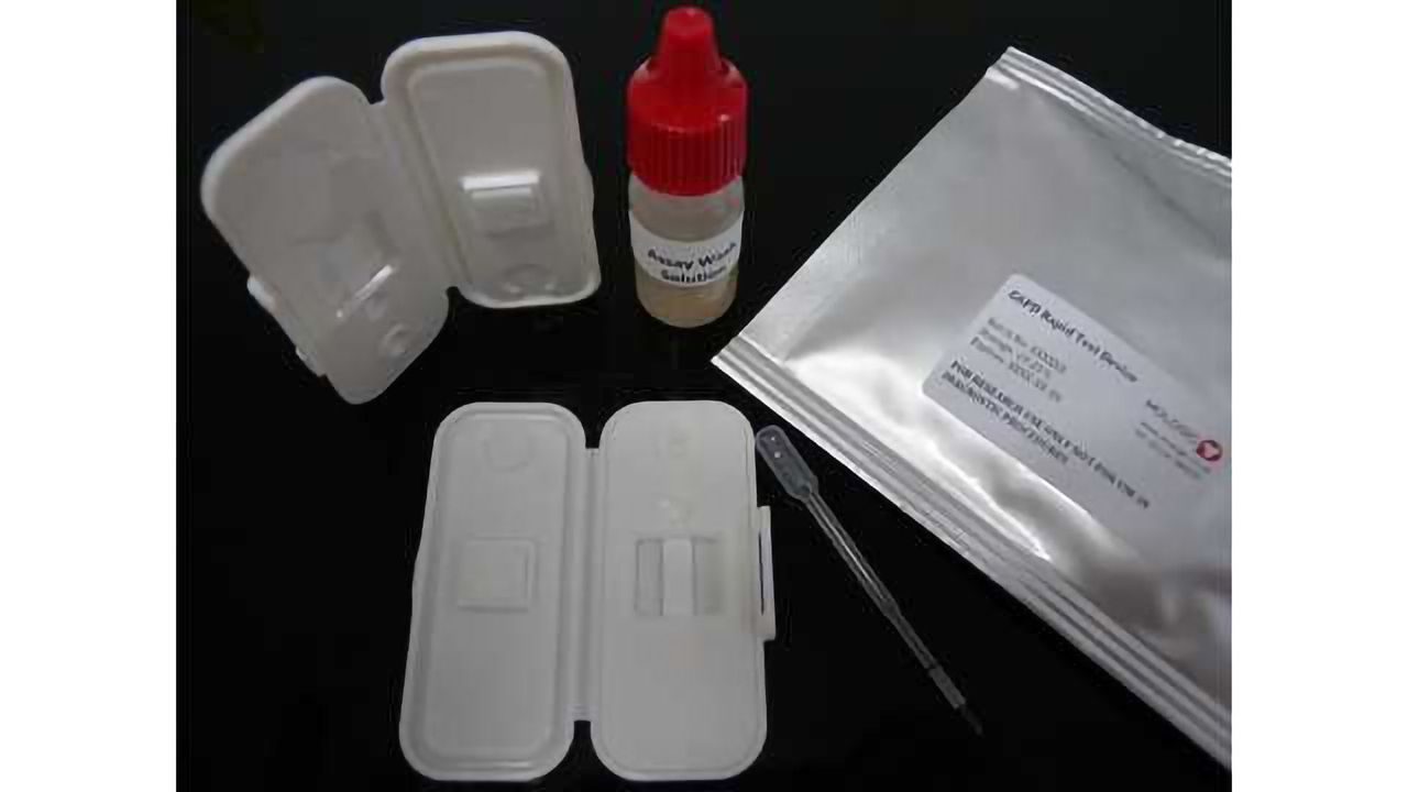 PATH and Mologic Advance a New Diagnostic Test to Support Malaria Elimination
