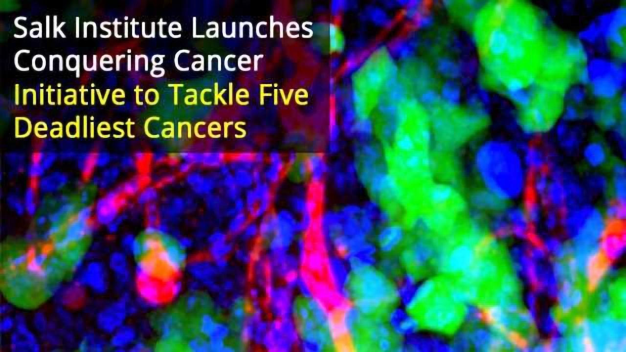 'Conquering Cancer' Initiative Launched