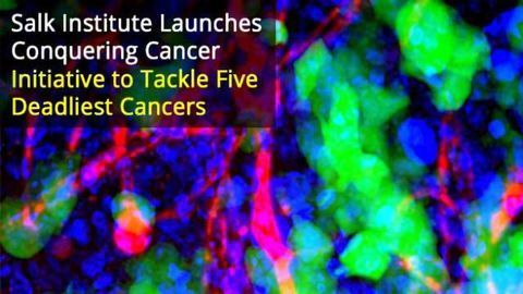'Conquering Cancer' Initiative Launched