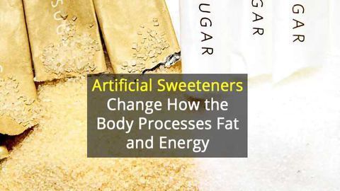 Why Zero-Calorie Sweeteners Can Still Lead to Diabetes and Obesity