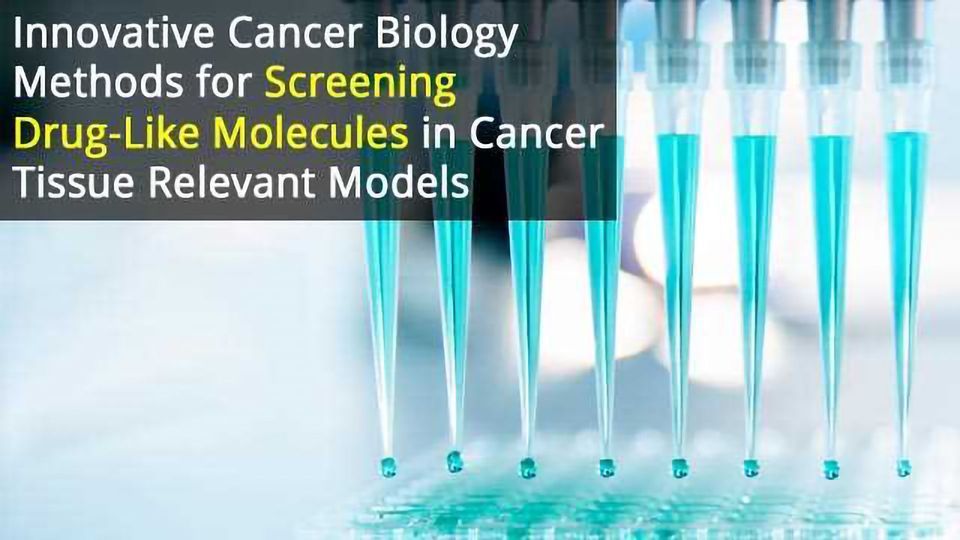 主胰瀑样肿瘤模型高通量表型药物筛选内容块的形象