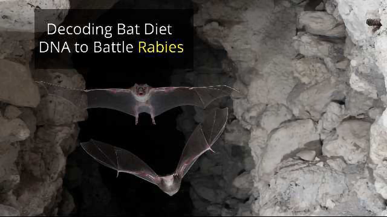 Identifying Vampire Victims