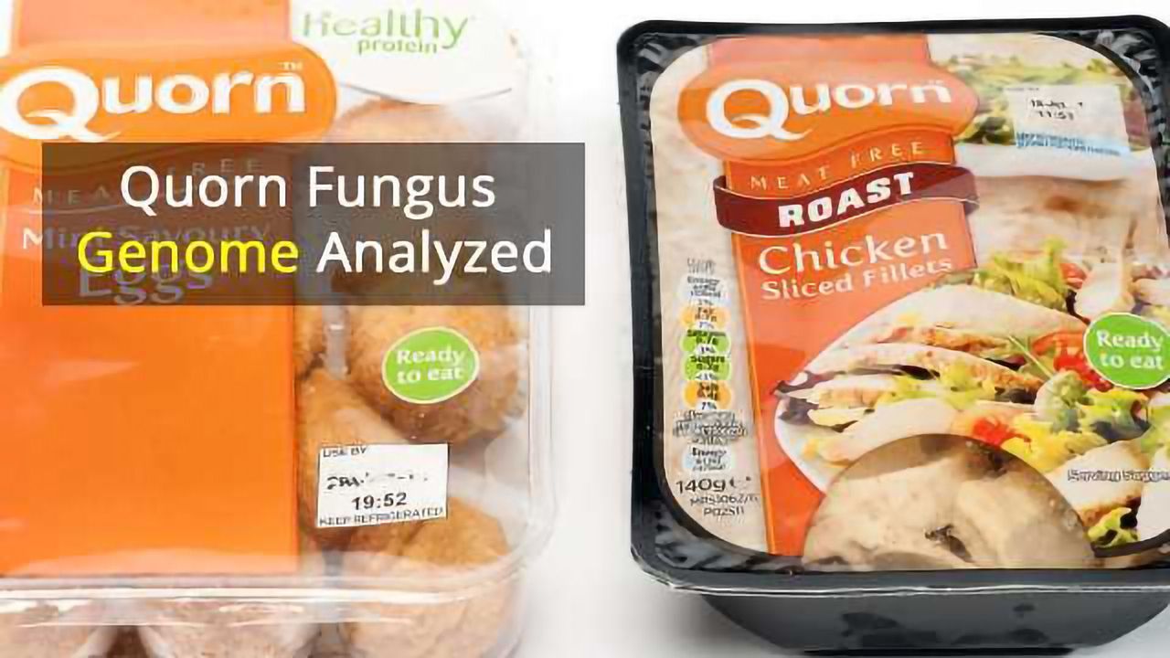 The Genes That Make Quorn a Fungal Food Favorite