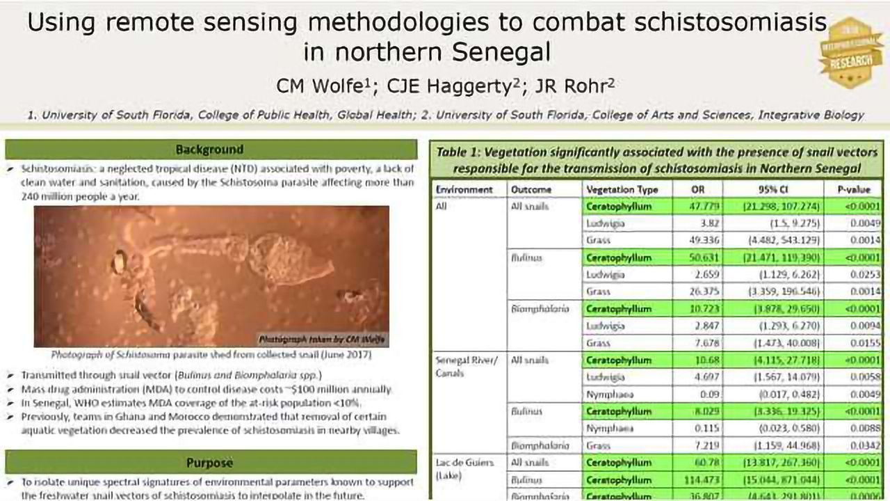 Using Remote Sensing Methodologies to Combat Schistosomiasis in Northern Senegal