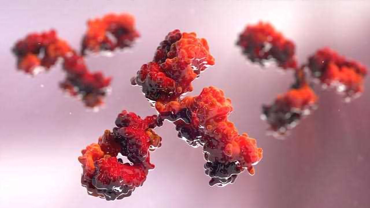 Streamlining Monoclonal Antibody Purification for Therapeutic Candidate Screening