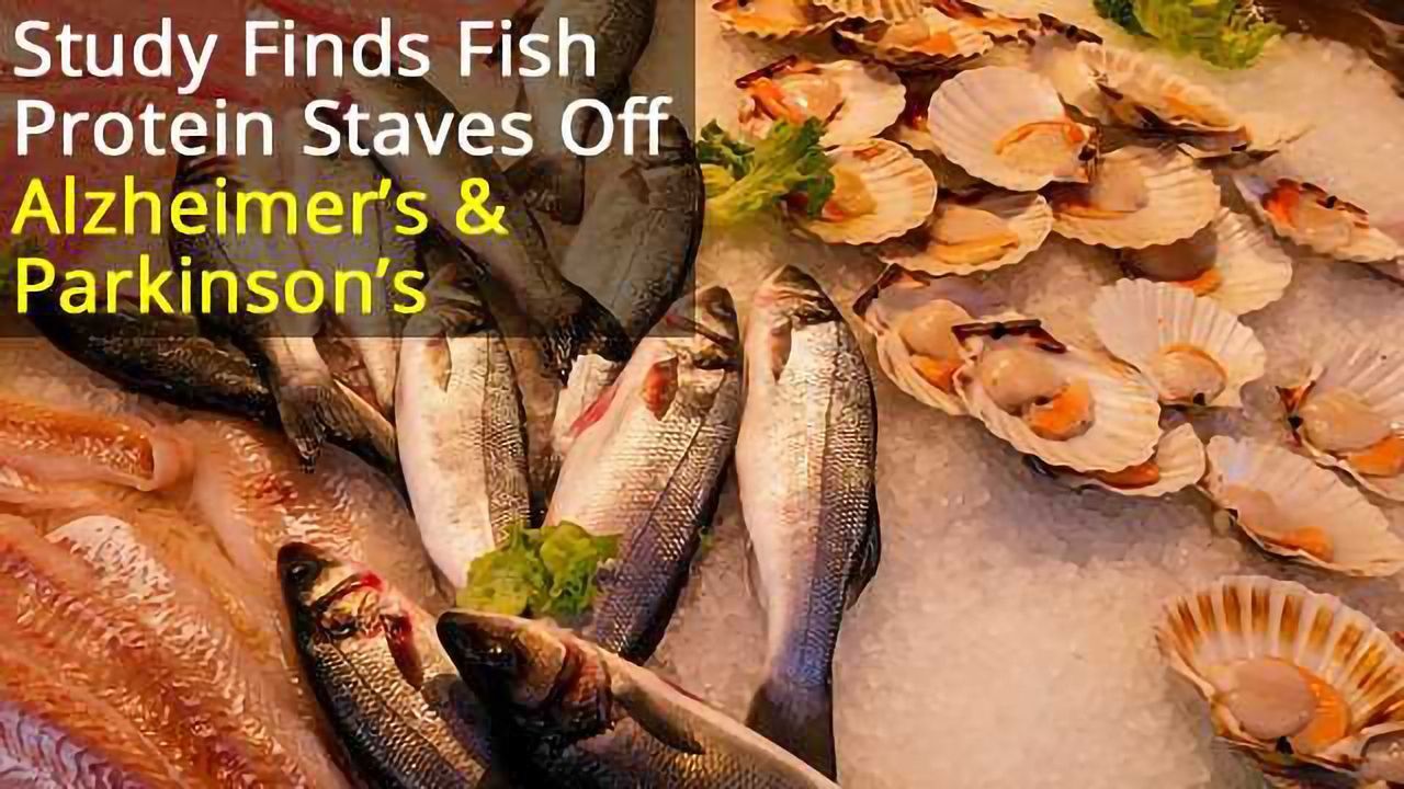 Abundant Fish Protein Inhibits Alpha-Synuclein Amyloid Formation, Could Prevent Parkinson’s Disease