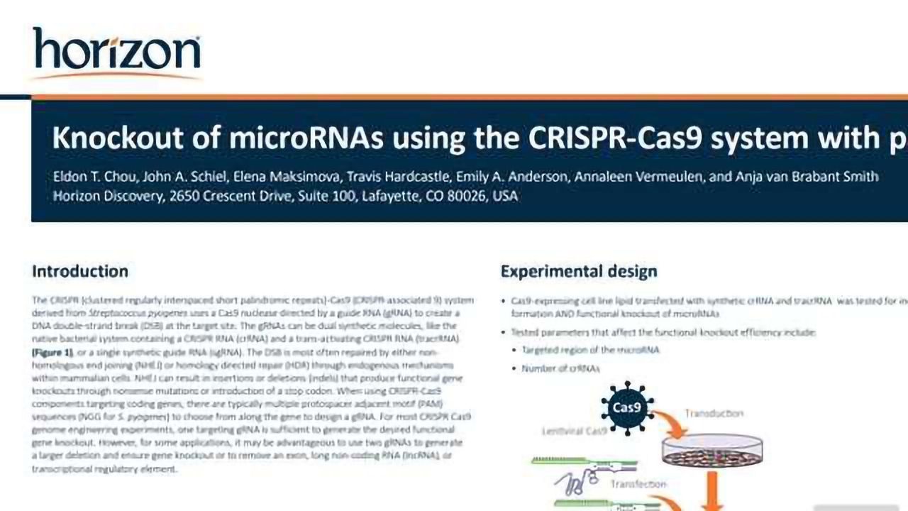 Knockout of microRNAs Using the CRISPR-Cas9 System with Paired Synthetic crRNAs