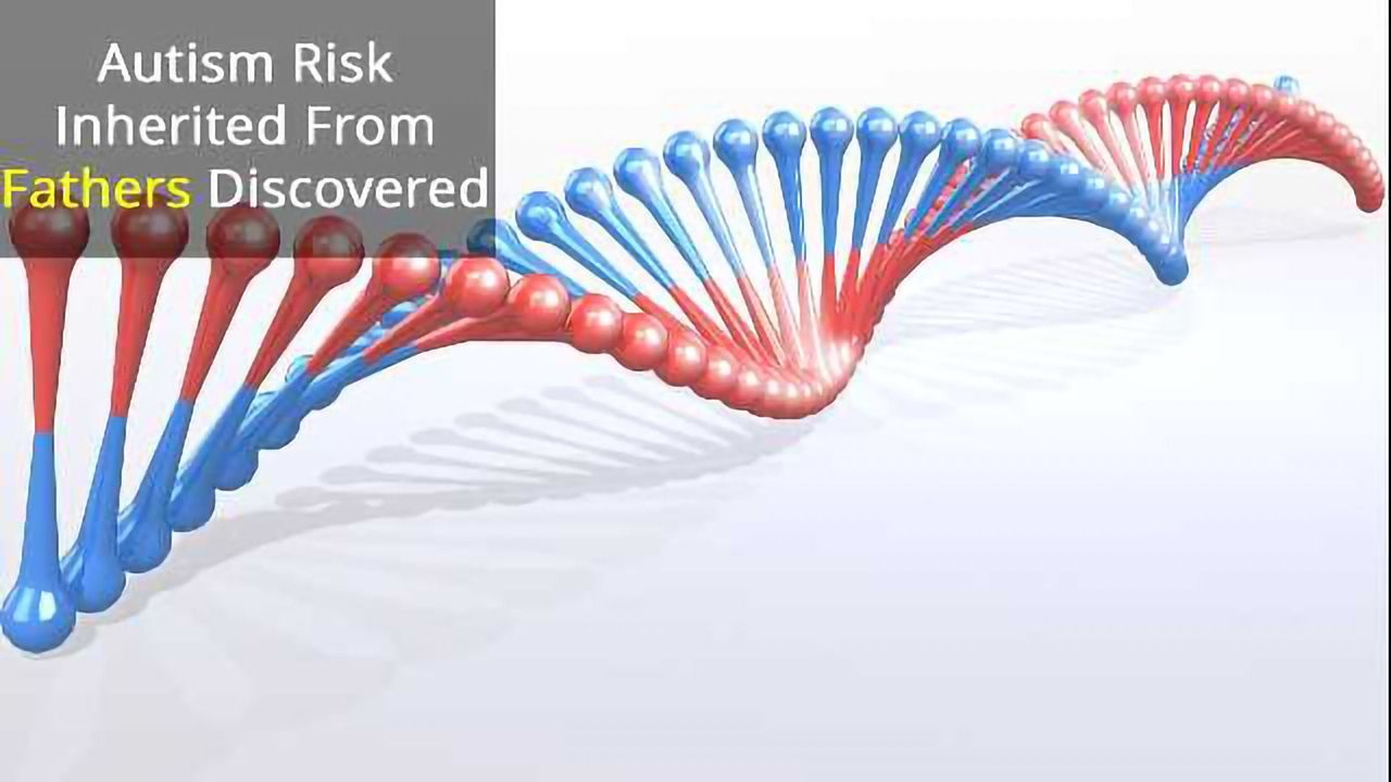 Non-Coding DNA Variants Increase Autism Risk
