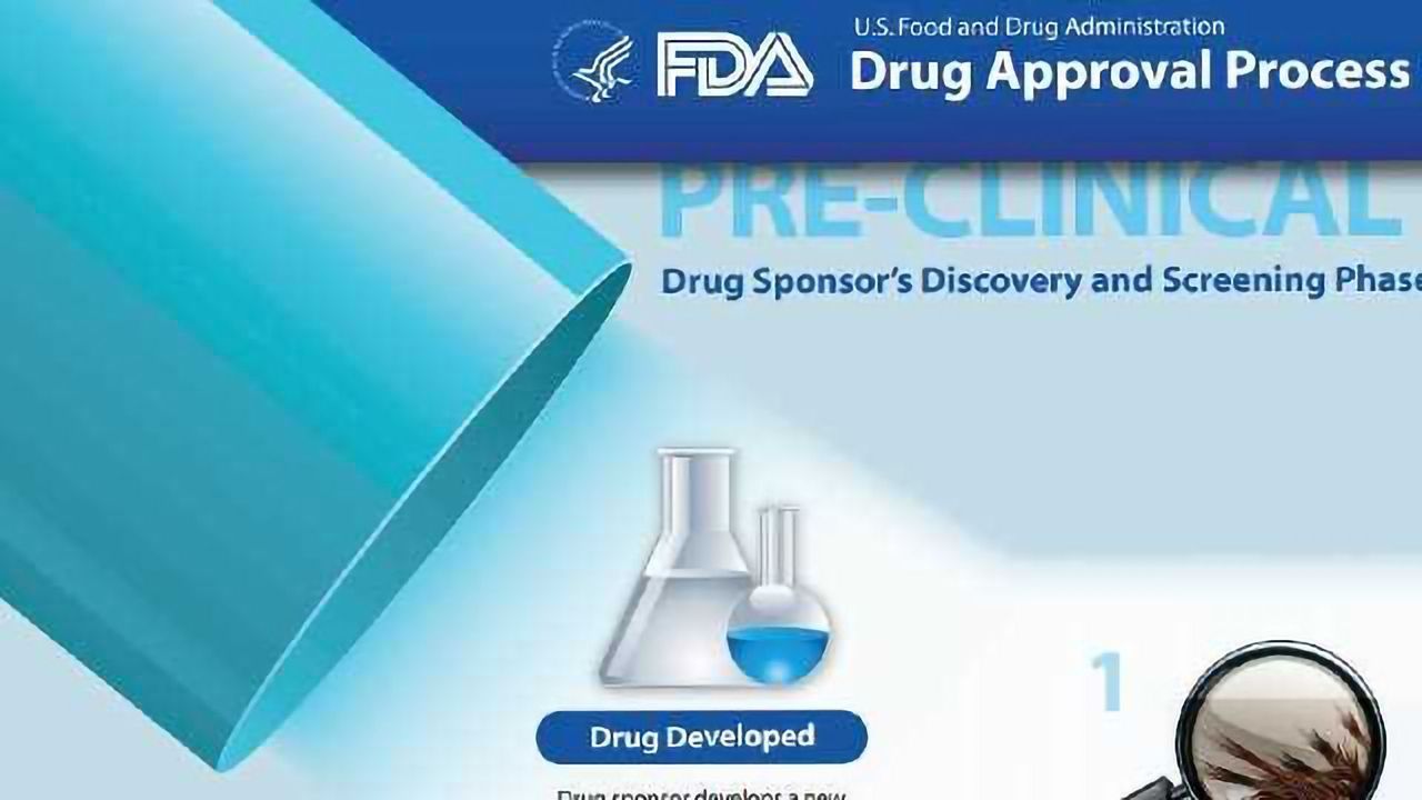 FDA Drug Approval Process