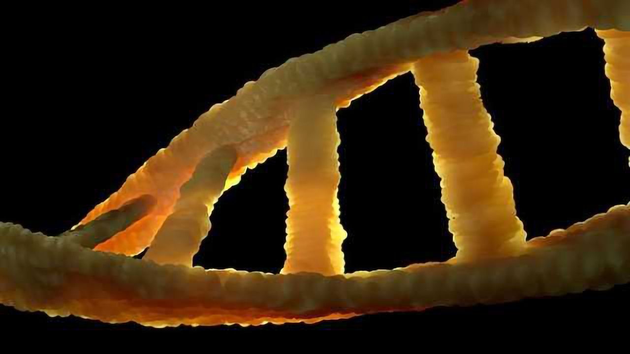 Harvard's Wyss Institute launches NuProbe to facilitate global precision