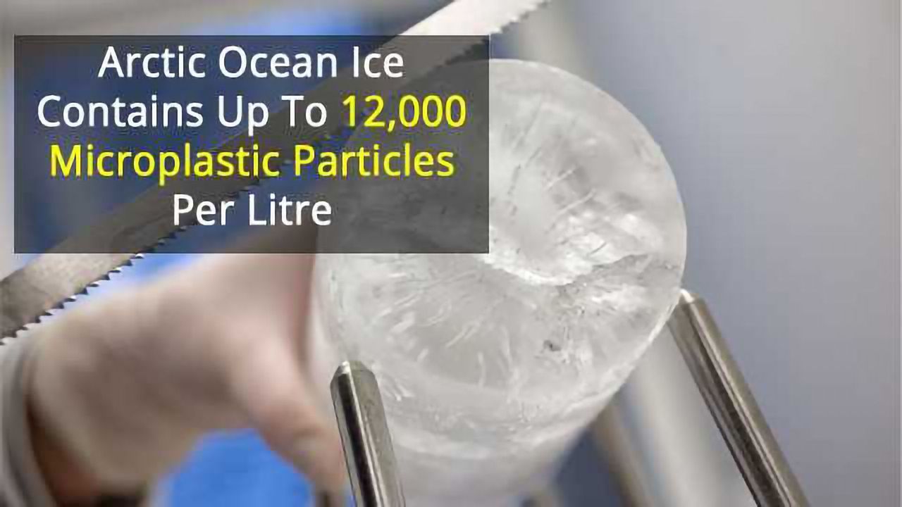 Record Concentration of Microplastic in Arctic Sea Ice