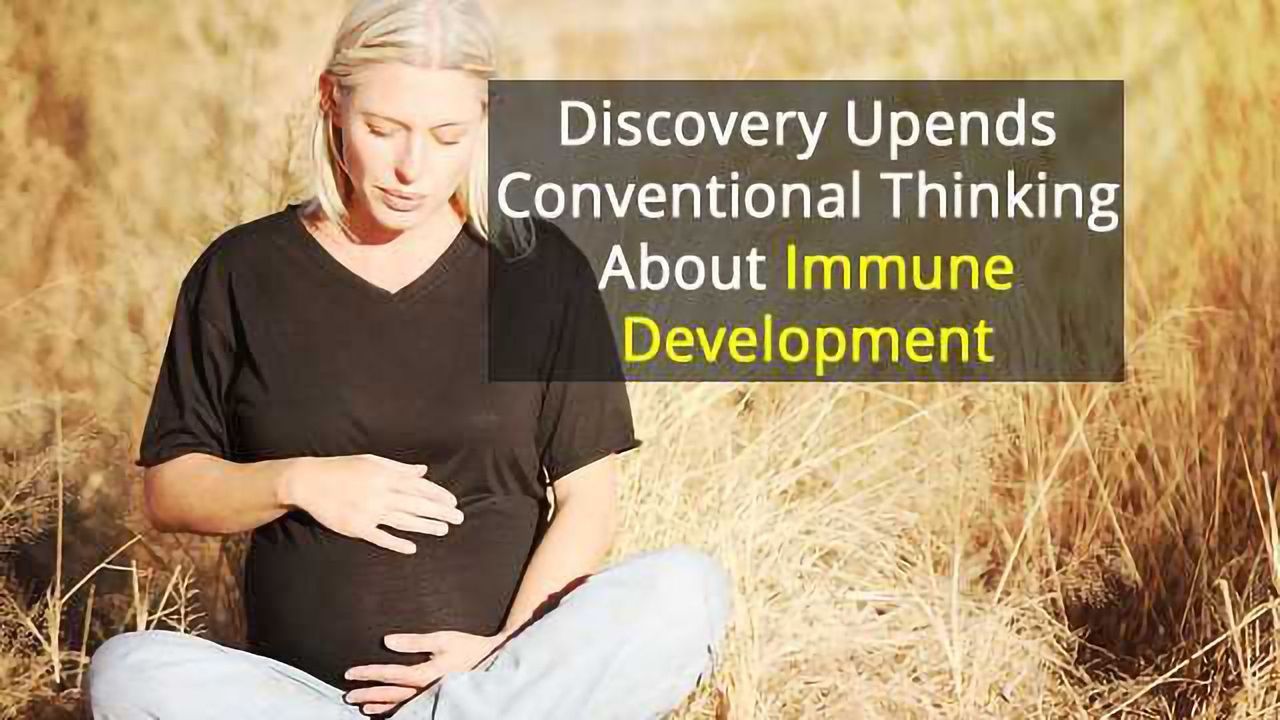 Feisty Fetal T Cells Can Rebel In Utero