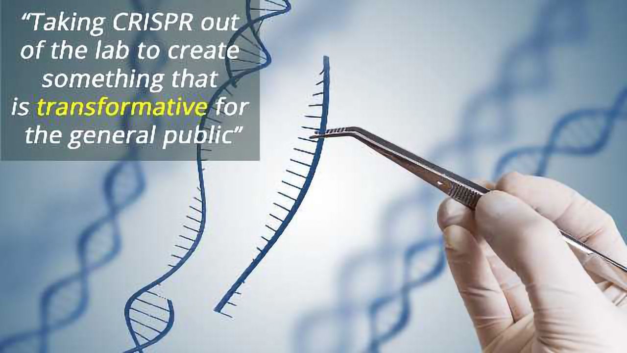 CRISPR Diagnostics Could Detect Any Disease on a Paper Strip