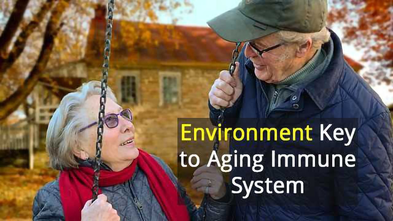 Older People’s Immune Cells Get a Fuzzier Set of Marching Orders than Youngsters