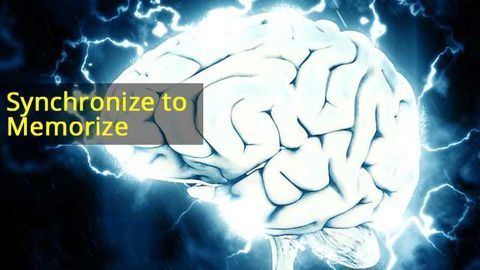 Working Memory Load Limit Affected by Brain Coupling, Synchrony